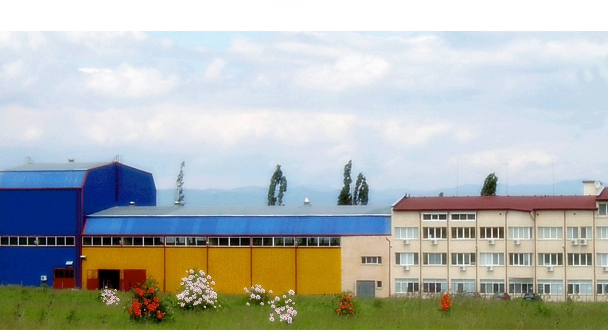 баумастер